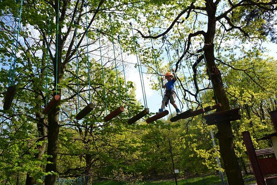 Park Linowy Wieżyca